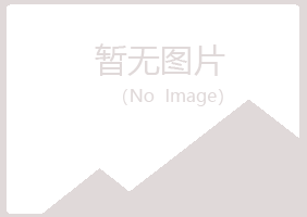 中方县夏日咨询有限公司